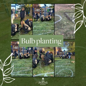 Article Thumbnail Image