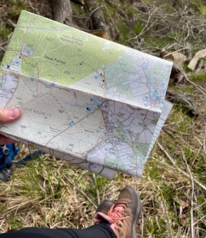 Article Thumbnail Image