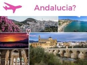 Article Thumbnail Image